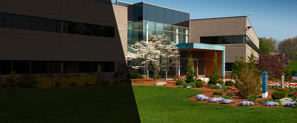 Bethpage Landscapers
