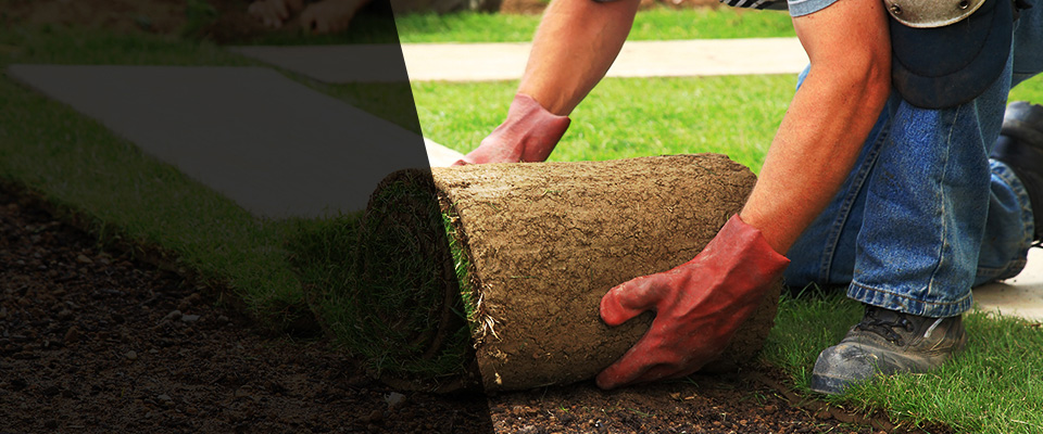 Bethpage Landscapers